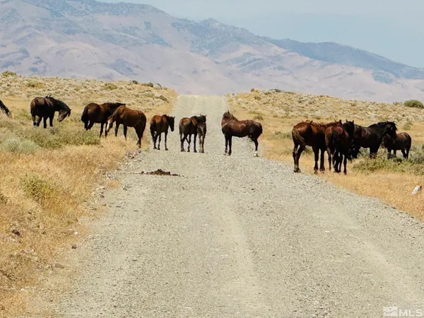 $150,000 | T32 Sec 25, Imlay, NV 89418