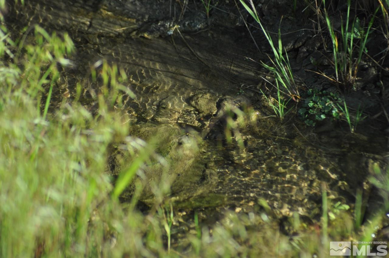 T32 Sec 25 Imlay, NV 89418 - Photo 3 of 21 Photo 3