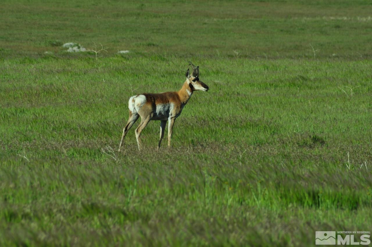 T32 Sec 25 Imlay, NV 89418 - Photo 9 of 21 Photo 9