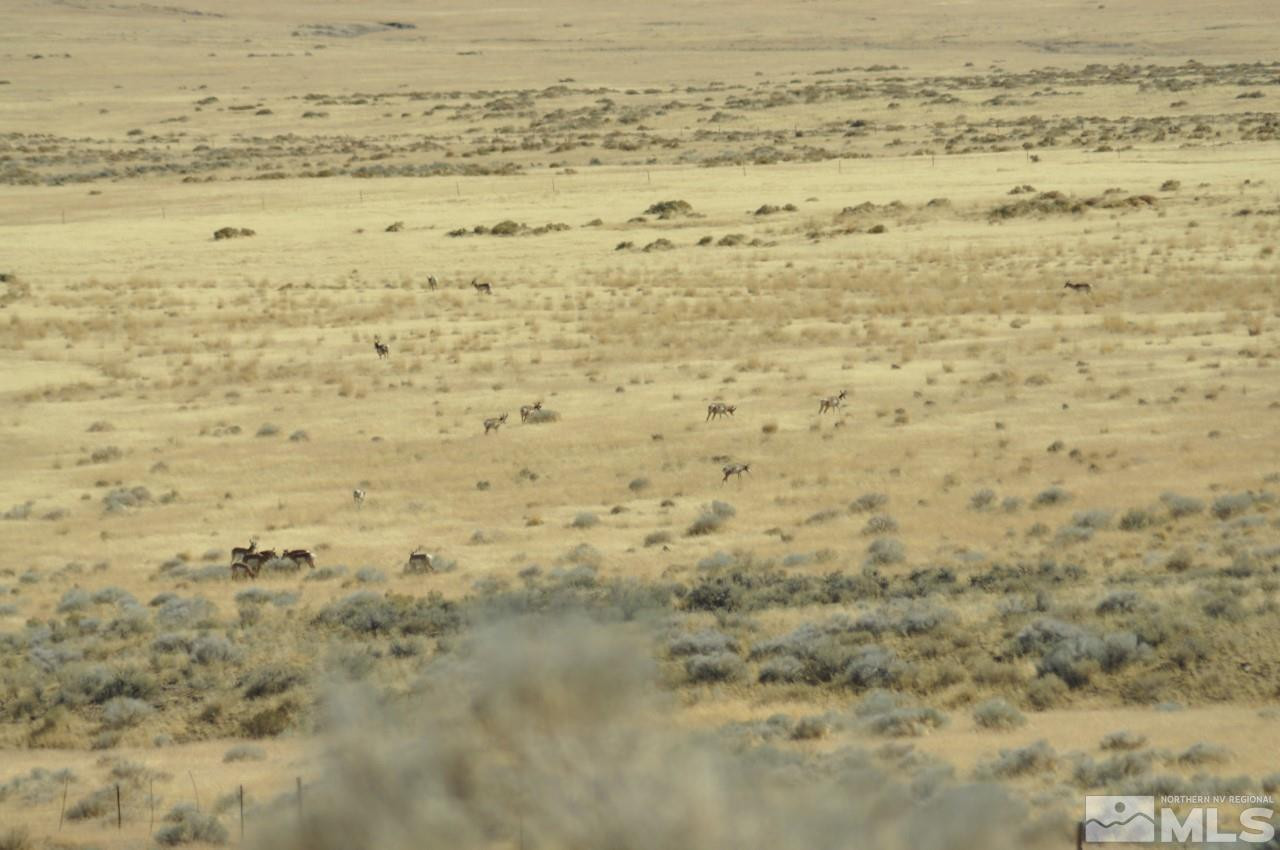 T32 Sec 25 Imlay, NV 89418 - Photo 10 of 21 Photo 10