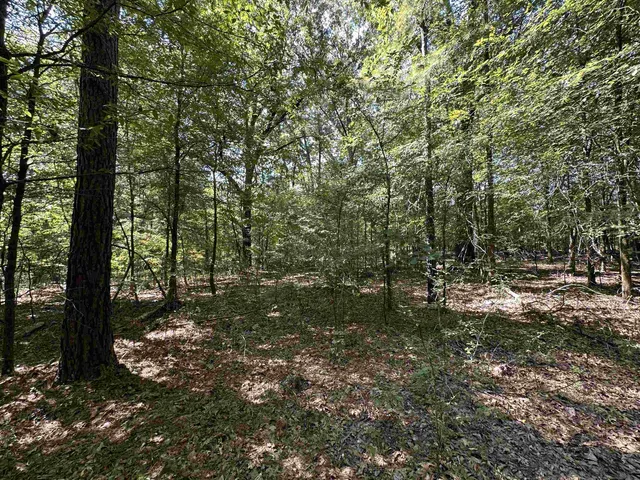 $125,000 | 0 Mosby Road, Oakland, TN 38060