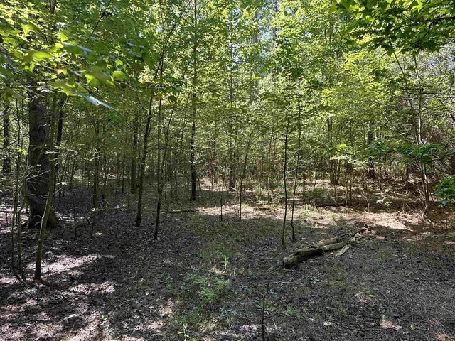 $125,000 | 0 Mosby Road, Oakland, TN 38060