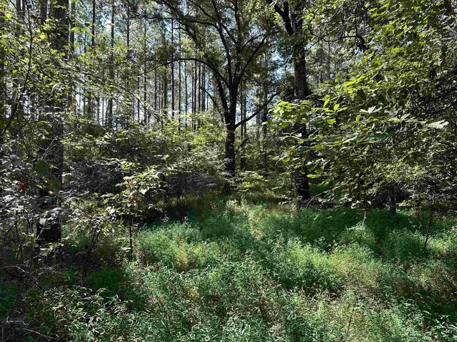 $125,000 | 0 Mosby Road, Oakland, TN 38060