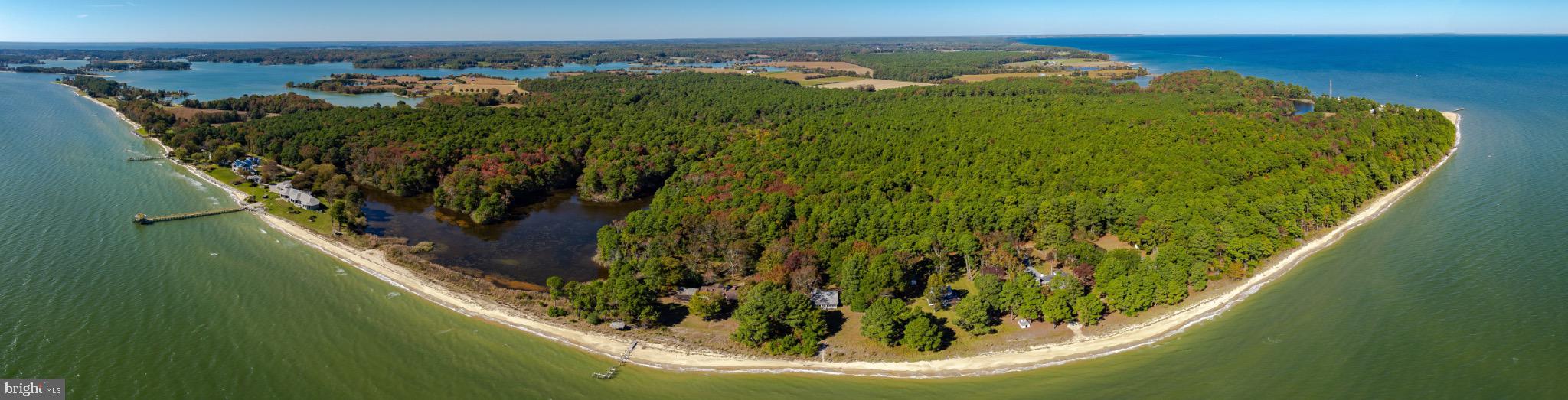 50645 Holly Point Road Dameron, MD 20628 - Photo 43 of 99