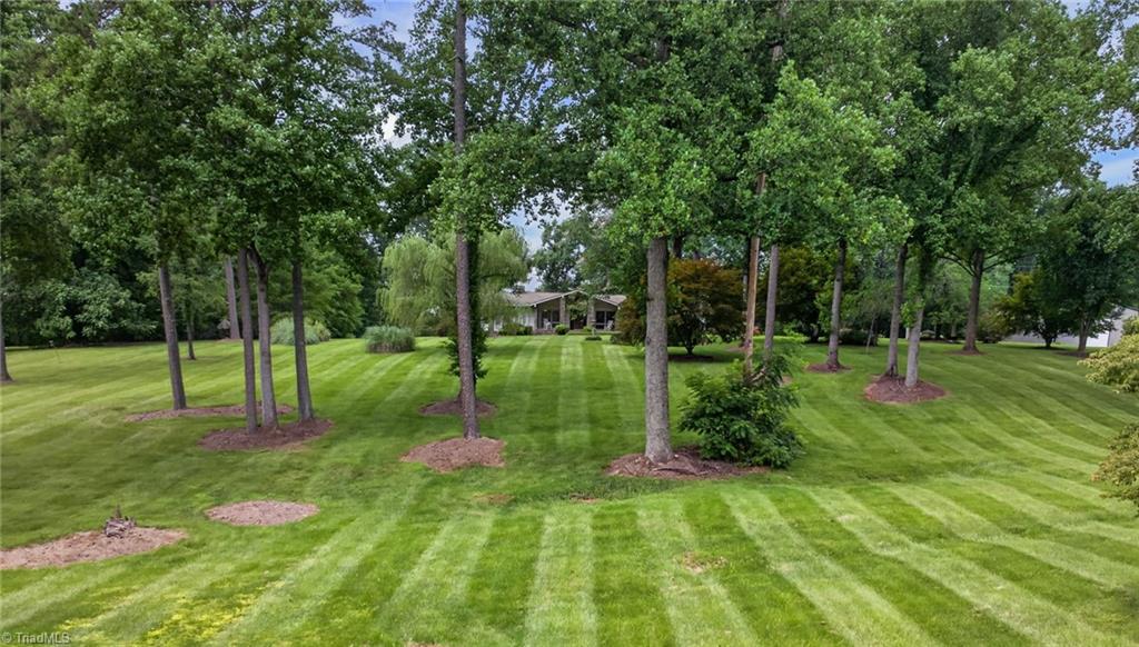 323 Nurse Road Ararat, NC 27007 - Photo 4 of 35 Gallery Image 4