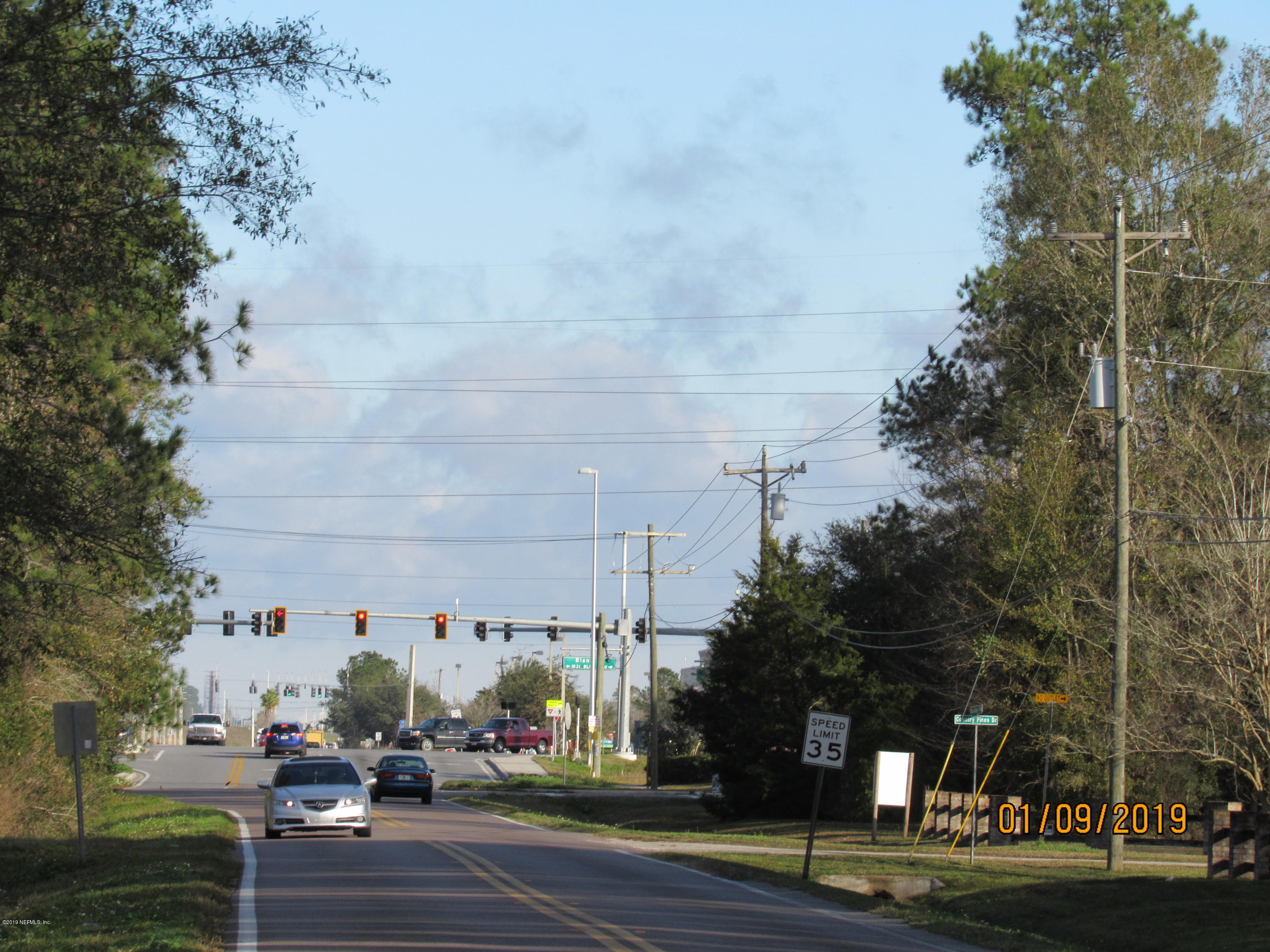 an outdoor space with lots of trees