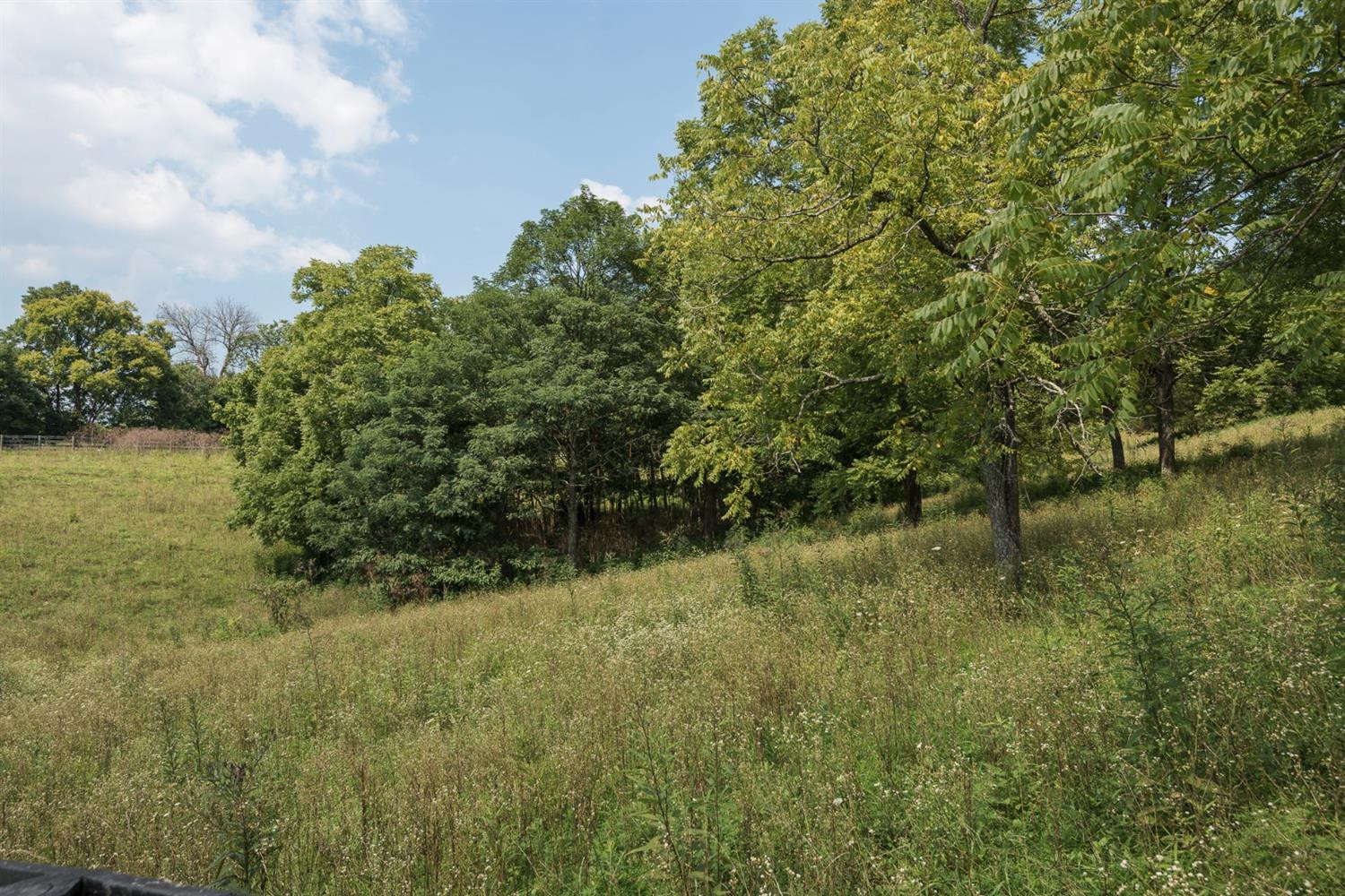601 Morris Road Sadieville, KY 40370 - Photo 49 of 68 Photo 49