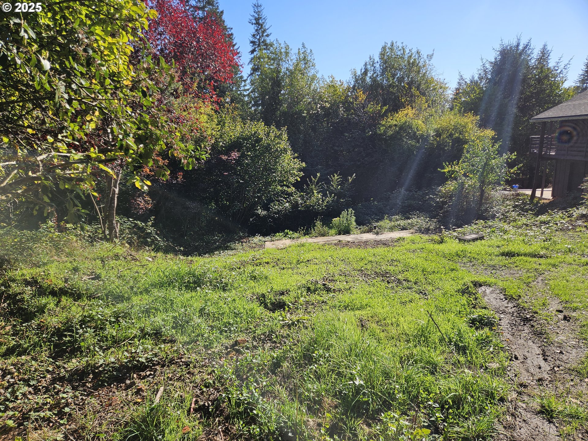 591 East 6th Street Coquille, OR 97423 - Photo 3 of 4