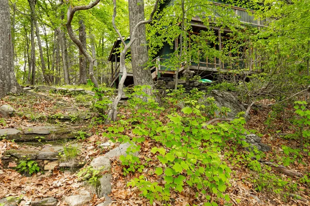 a backyard of a house with lots of green space