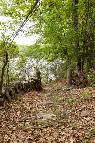 a view of a lake with a yard and potted plants