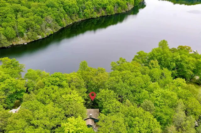 a view of a garden with a lake