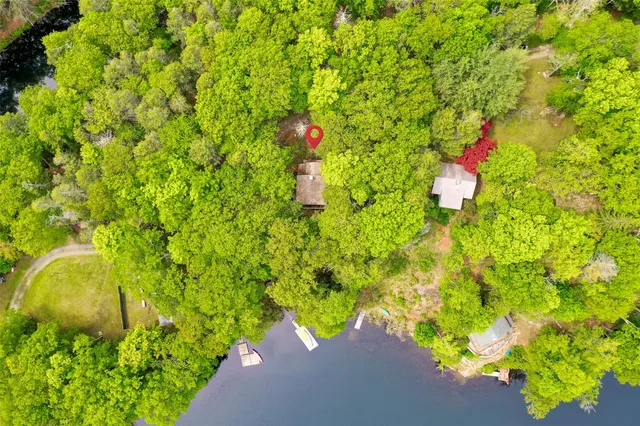 a view of a bench in a garden