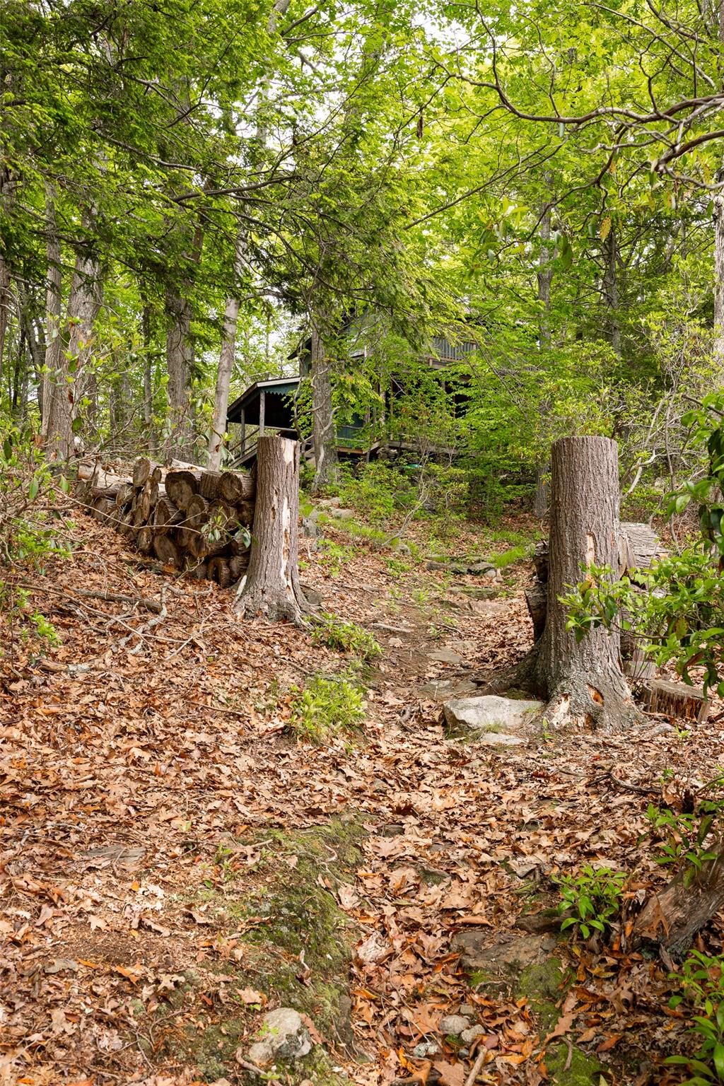 215 Little Pond Road Pawling, NY 12531 - Photo 22 of 24 a view of a bench in a garden