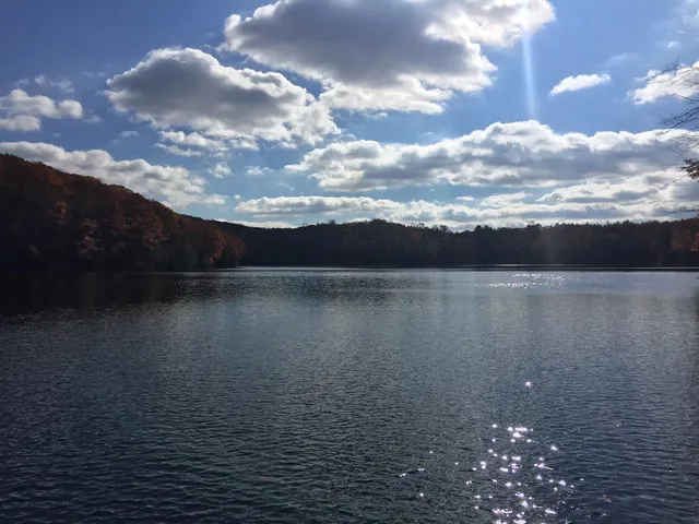 a view of a lake with a city