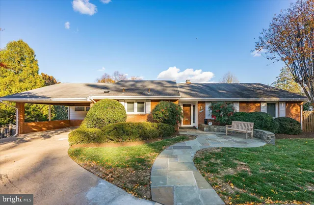 a view of a patio with table and chairs under an umbrella with large trees