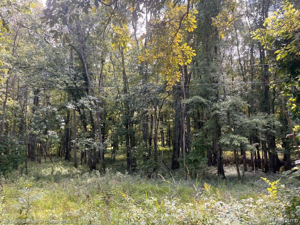 0 West Castle Road Fostoria, MI 48435 - Photo 6 of 13