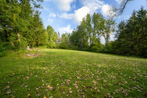 a view of yard with green space