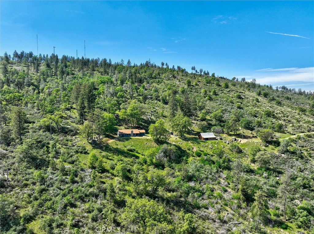 5851 Mt Bullion Ridge Road Mariposa, CA 95338 - Photo 54 of 58 a view of a green field with lots of bushes