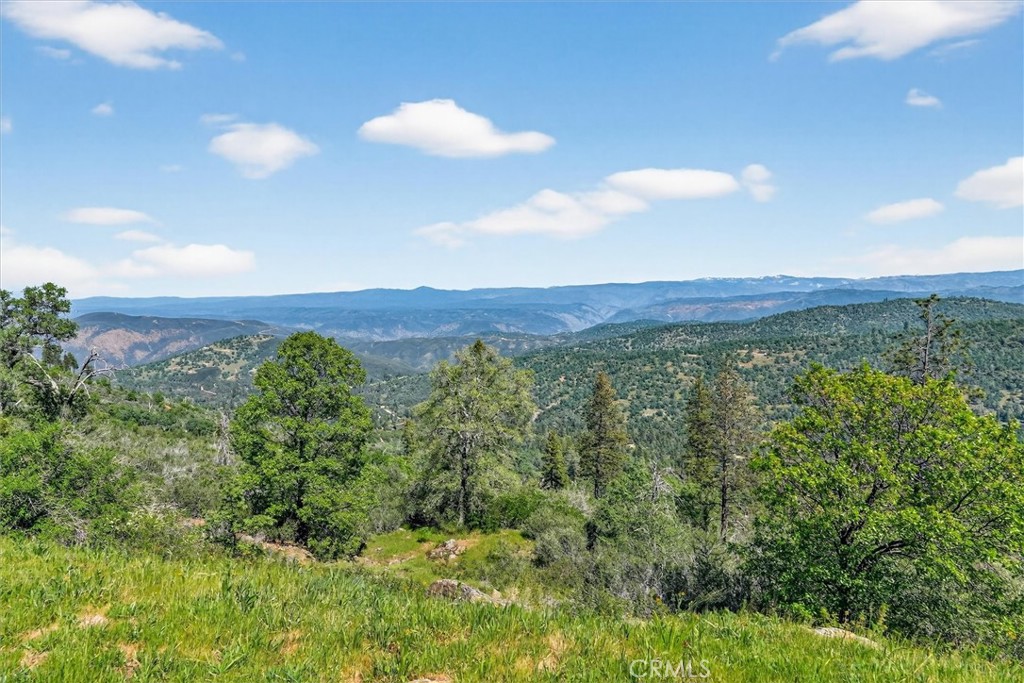 5851 Mt Bullion Ridge Road Mariposa, CA 95338 - Photo 55 of 58 a view of a large yard with lots of green space