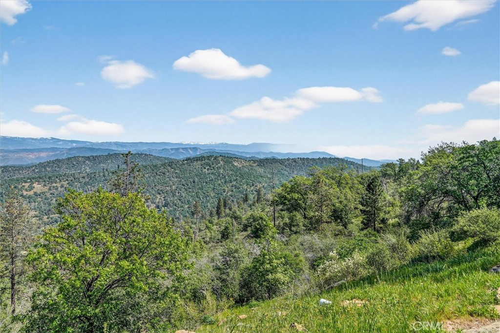 5851 Mt Bullion Ridge Road Mariposa, CA 95338 - Photo 56 of 58 a view of a lush green space with sea