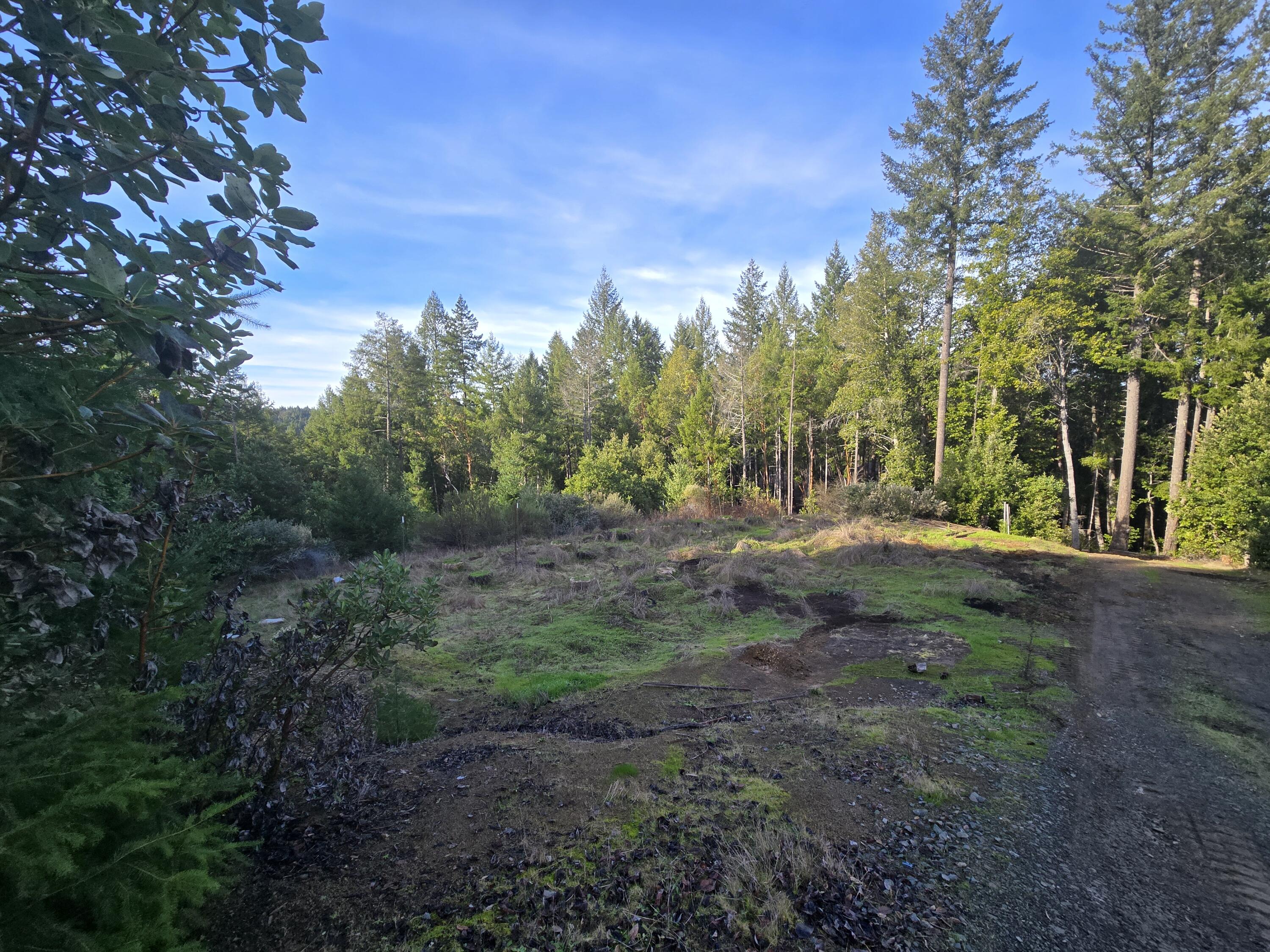2126 China Creek Road Garberville, CA 95542 - Photo 24 of 40