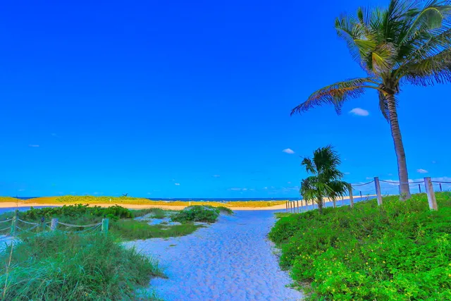 a view of a lake and a yard
