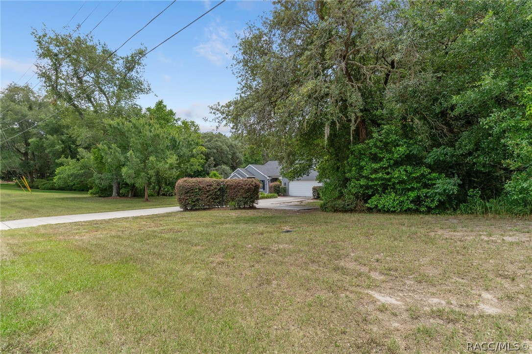 2460 West Pine Ridge Boulevard Beverly Hills, FL 34465 - Photo 44 of 47 a backyard of a house with lots of green space
