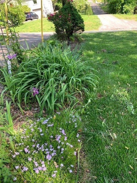 651 Hicks Road Nashville, TN 37221 - Photo 35 of 36 Established garden bed areas