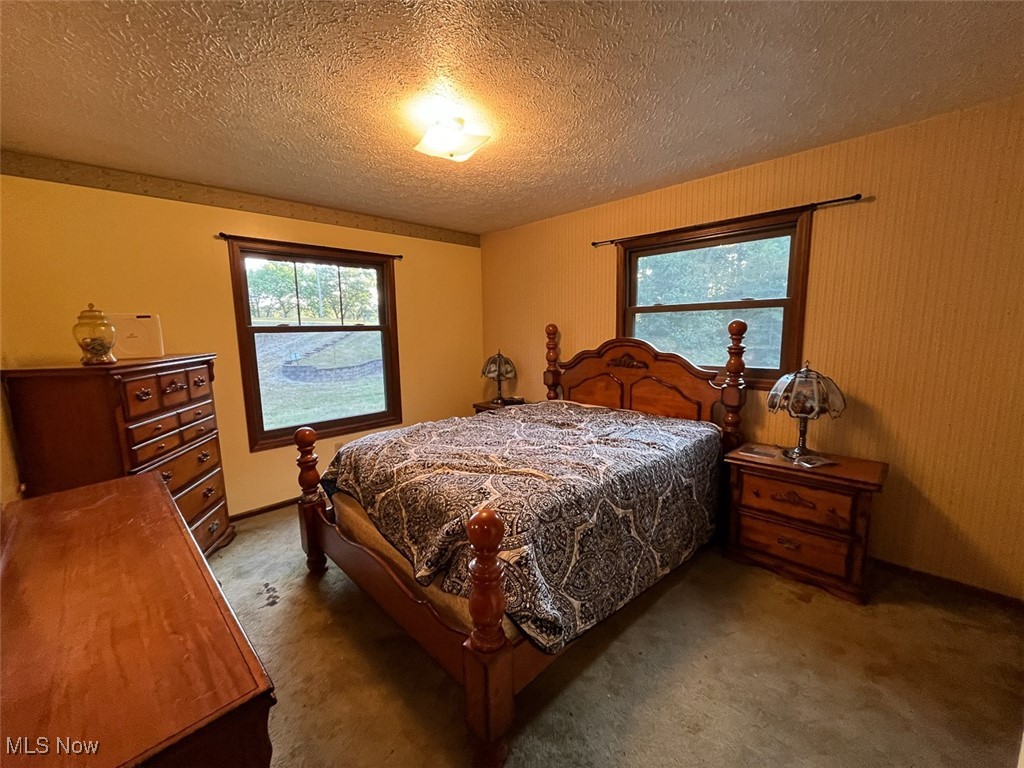 9366 Briar Road Magnolia, OH 44643 - Photo 12 of 25 Bedroom with multiple windows, a textured ceiling, and carpet flooring