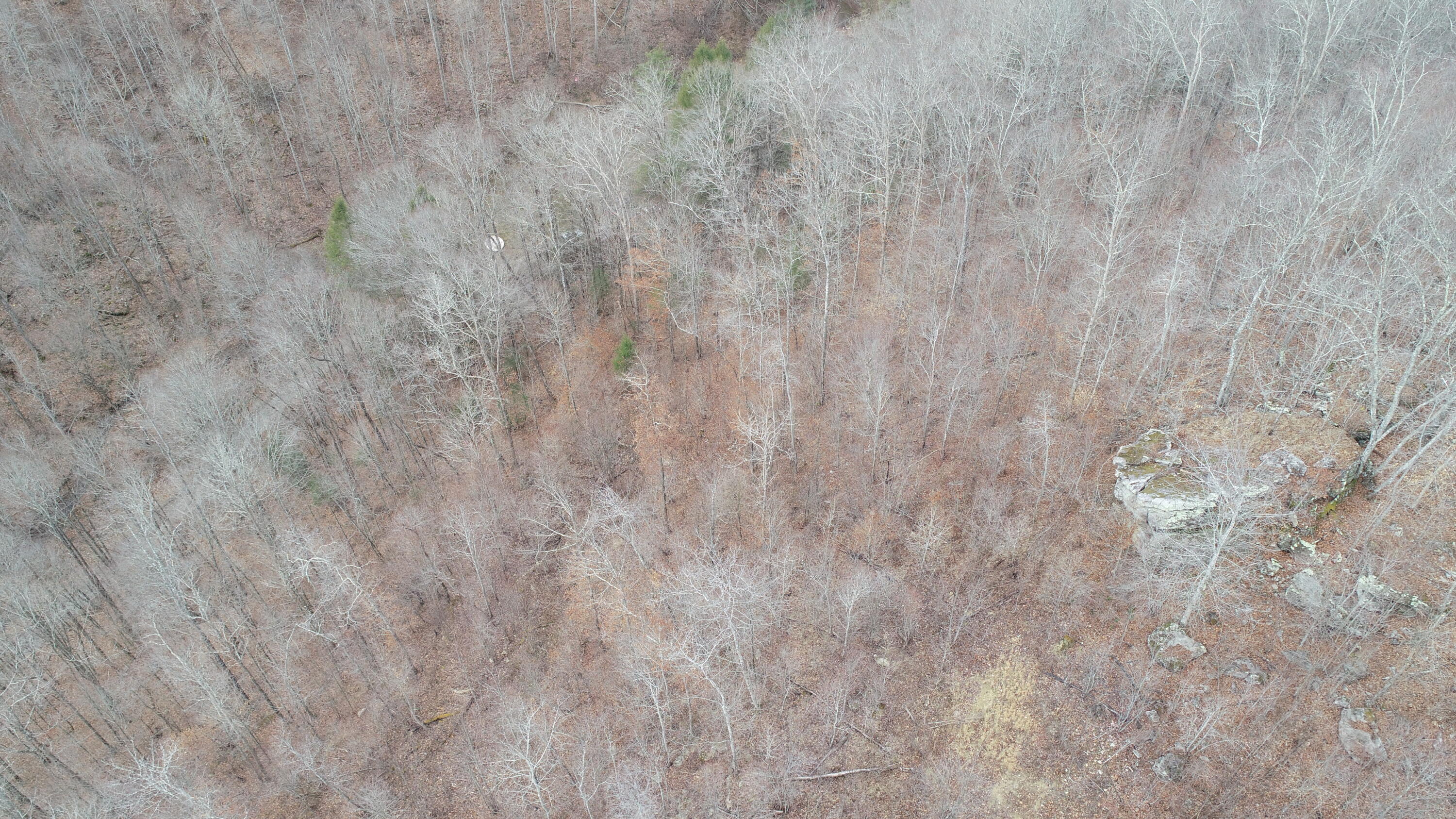 9999 Henry Branch Rd Flat Walker, KY 40997 - Photo 2 of 14 DJI_0404