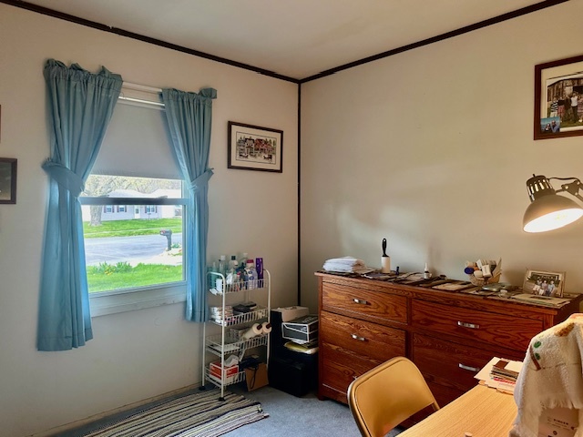 3103 Blair Drive Champaign, IL 61821 - Photo 16 of 20 a room with a window and gym equipment