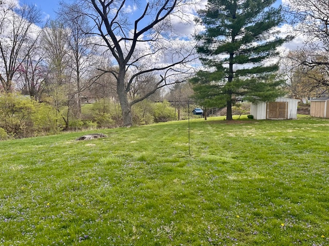 3103 Blair Drive Champaign, IL 61821 - Photo 19 of 20 a view of a field with trees