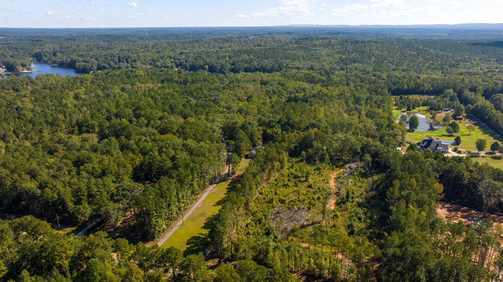 2478 Pine Lake Road West Point, GA 31833 - Photo 23 of 70 Gallery Image 23