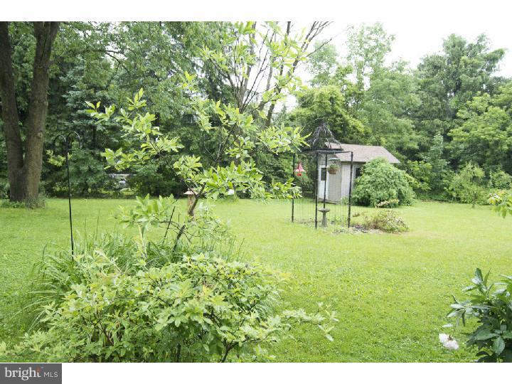 217 Edison Furlong Road Doylestown, PA 18901 - Photo 6 of 19 Back Yard