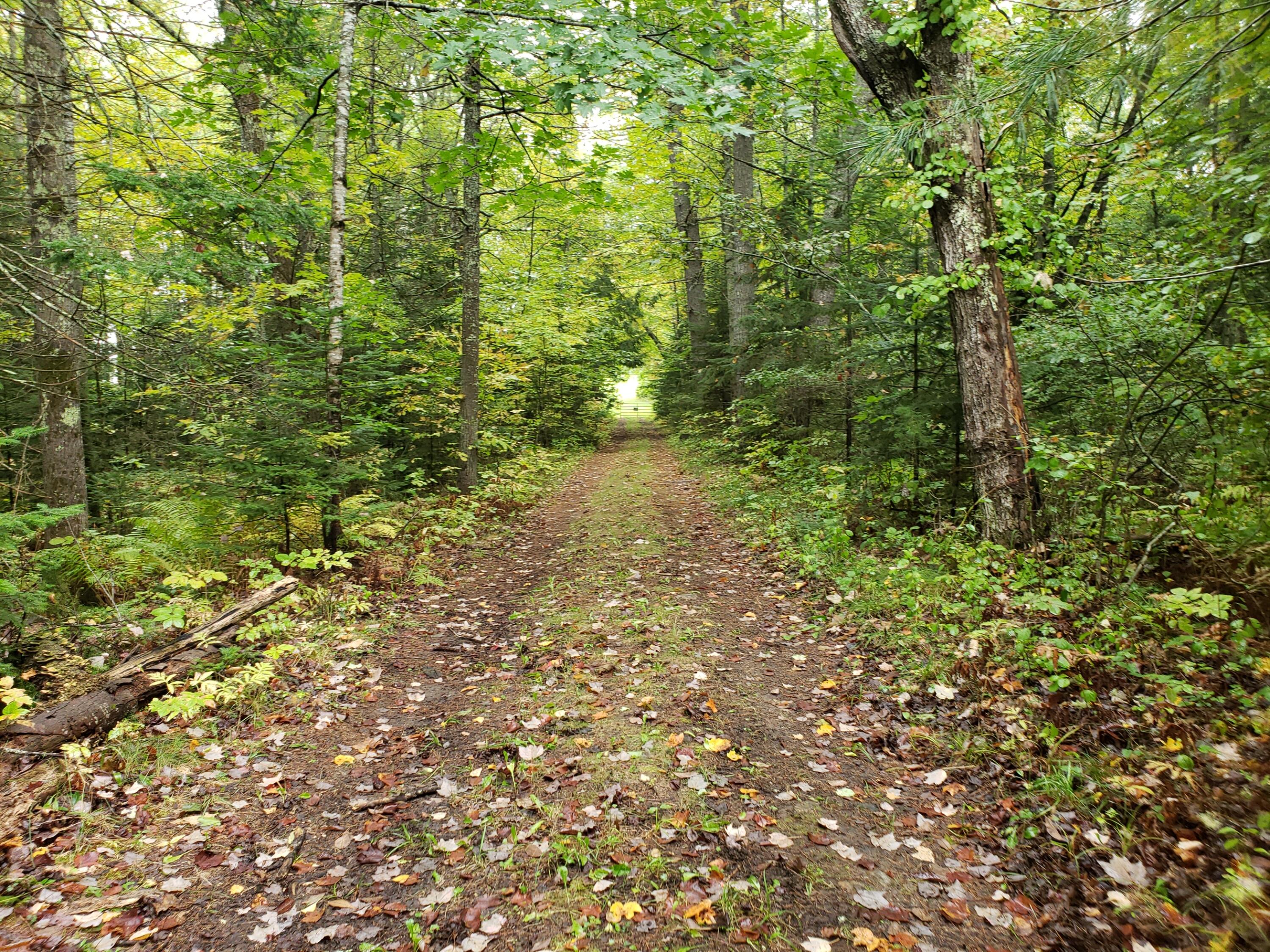 237 Middle Ridge Road Bridgton, ME 04009 - Photo 28 of 30 farm road to back pasture