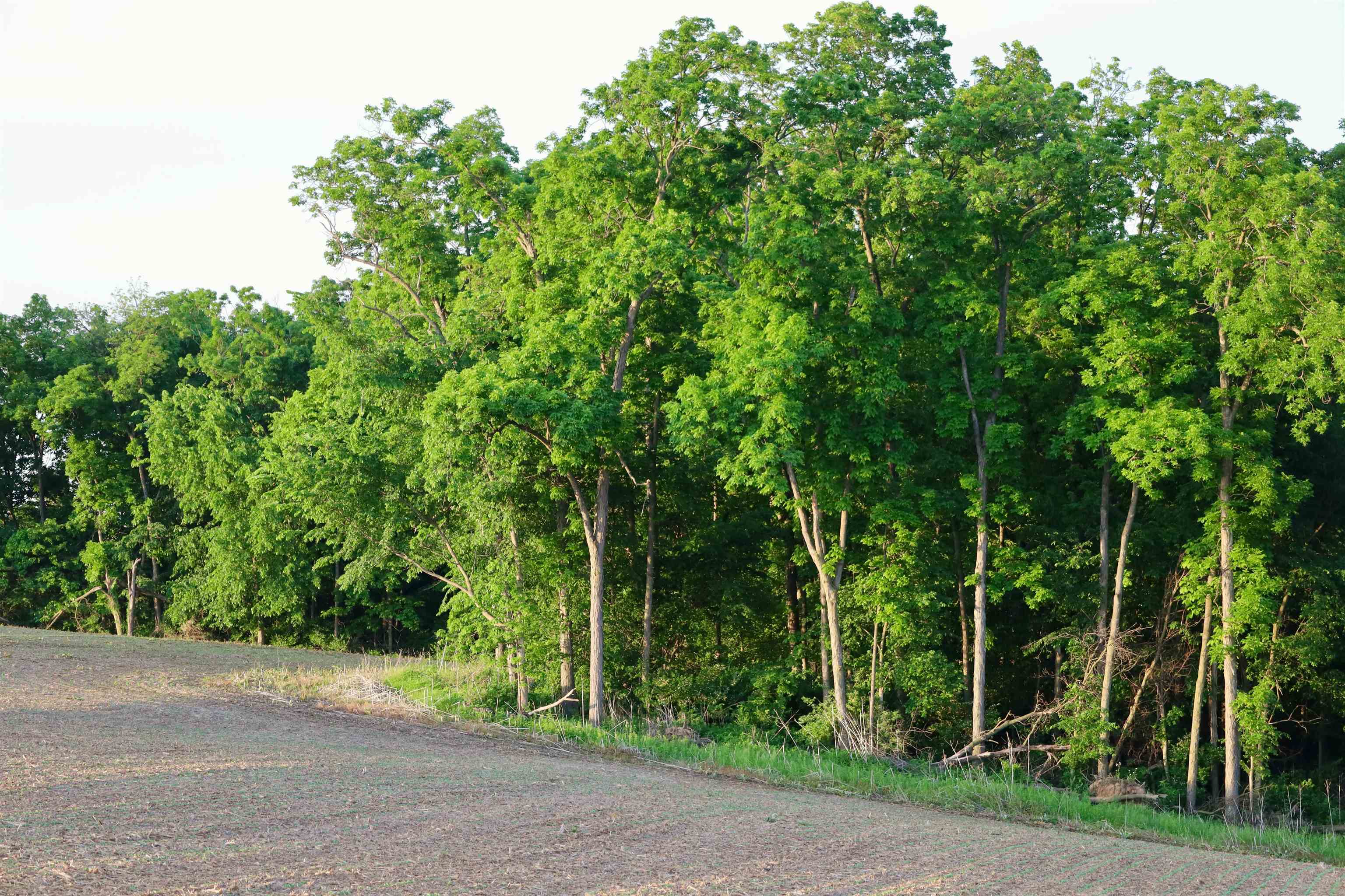 0 County T Boscobel, WI 53805 - Photo 24 of 30