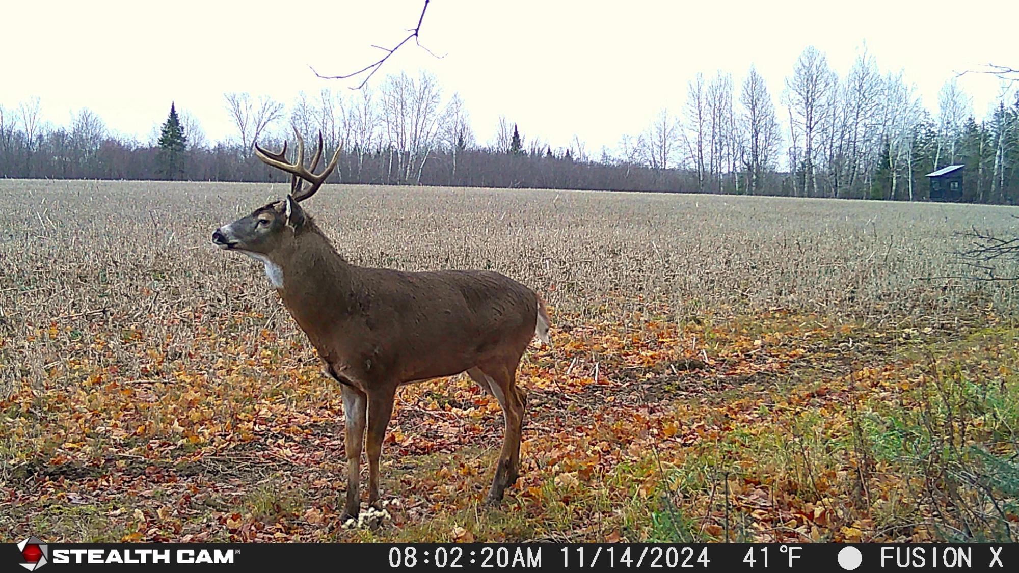 W181 Midway Road Hawkins, WI 54530 - Photo 24 of 56 Gallery Image 24