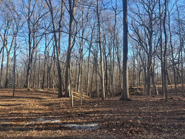 $16,000 | 1761-1762 Sunflower Drive, Varna, IL 61375