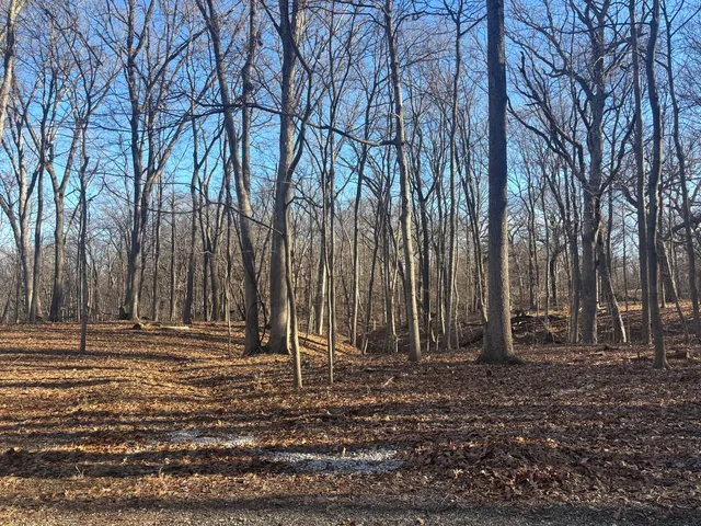 $16,000 | 1761-1762 Sunflower Drive, Varna, IL 61375