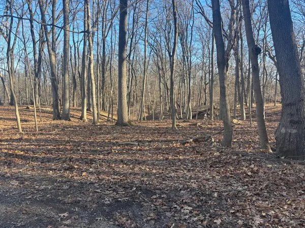 a view of outdoor space with green space
