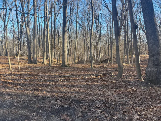 $16,000 | 1761-1762 Sunflower Drive, Varna, IL 61375