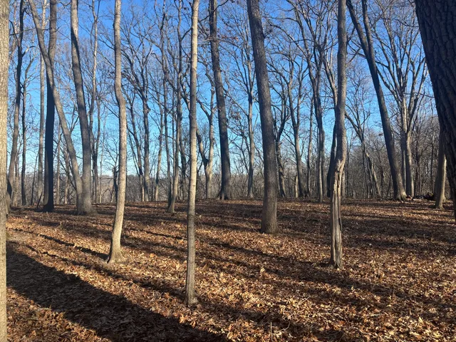 $16,000 | 1761-1762 Sunflower Drive, Varna, IL 61375