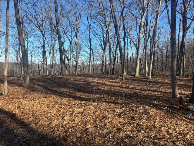 $16,000 | 1761-1762 Sunflower Drive, Varna, IL 61375