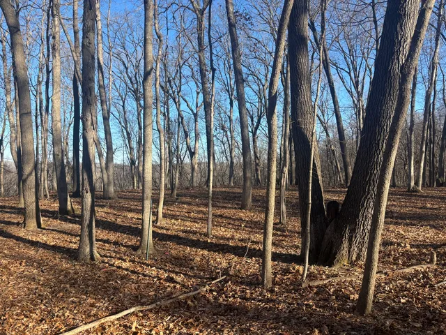 $16,000 | 1761-1762 Sunflower Drive, Varna, IL 61375