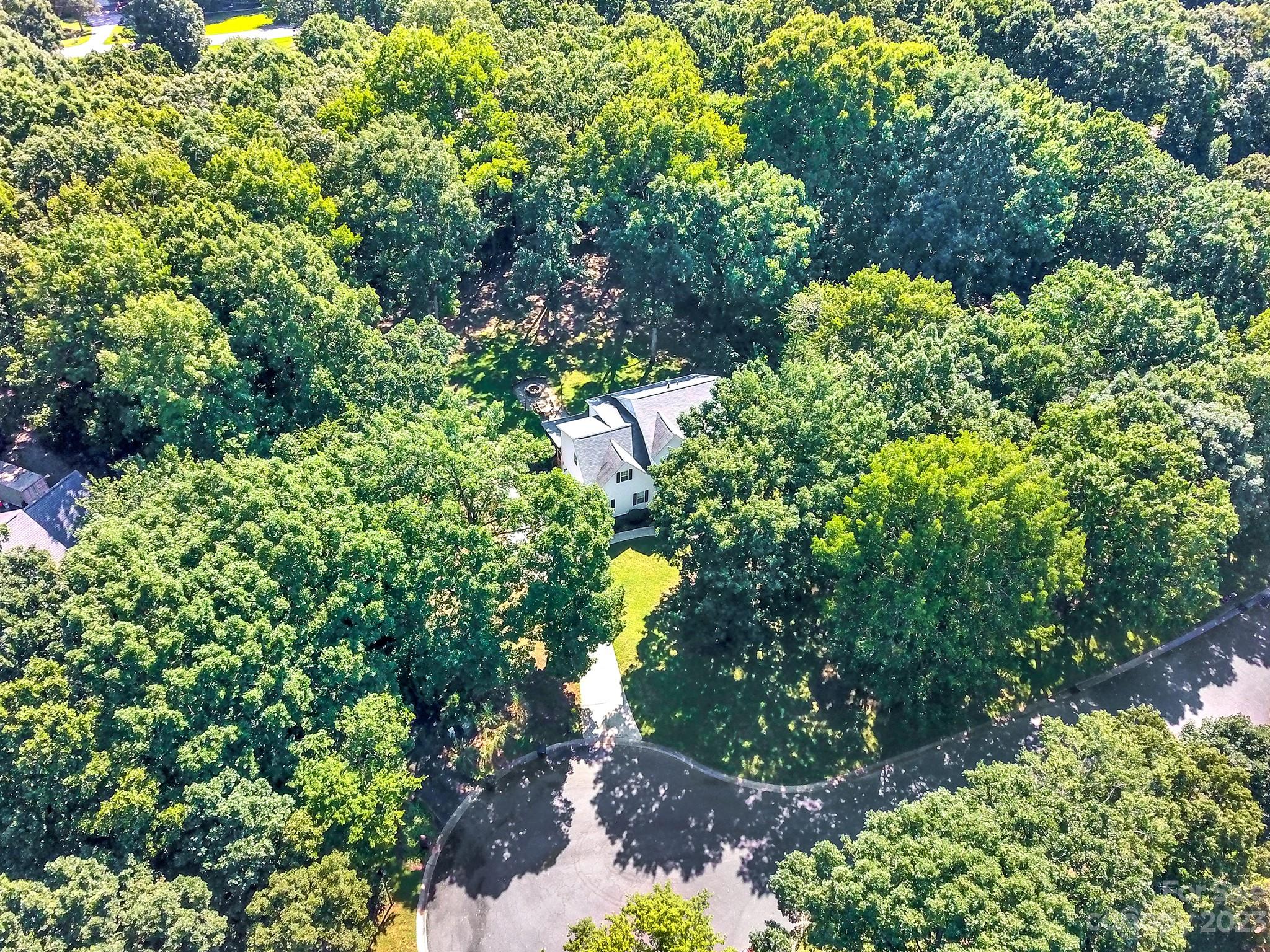 16014 Virginia Lee Court Fort Mill, SC 29708 - Photo 43 of 47 a picture of flowers