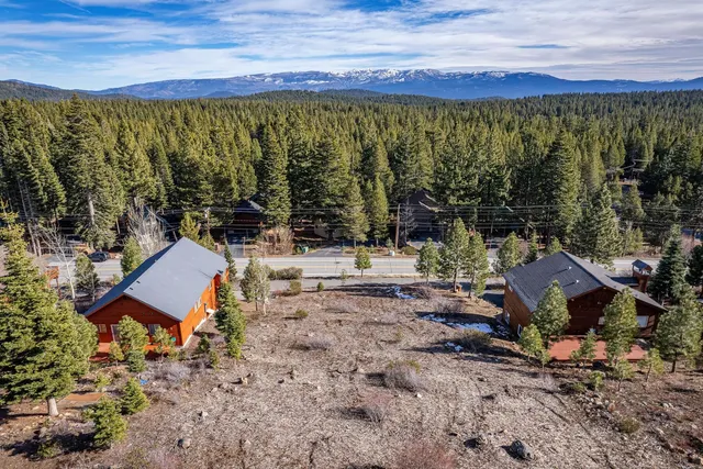 a view of a large trees with a yard