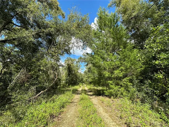 $9,500 | 0 Northeast 156 Avenue, Williston, FL 32696