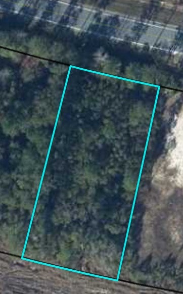 Lot 32 Doc Whitfield Road Wewahitchka, FL 32465 - Photo 4 of 5 Gallery Image 4