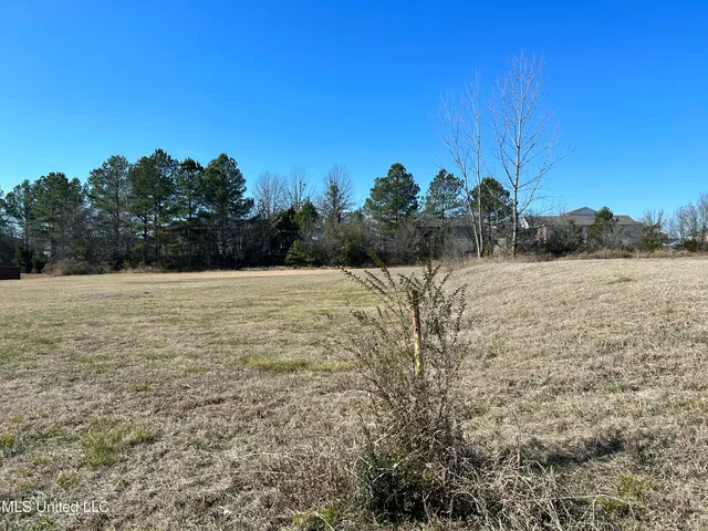 $249,600 | Stark Road, Starkville, MS 39759