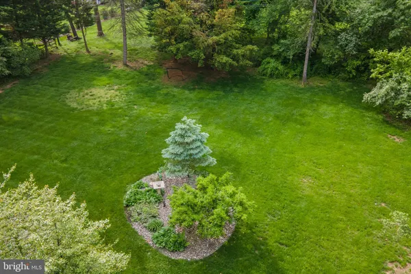 a view of a garden with a tree